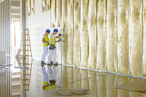 Best Spray Foam Insulation in Navasota, TX